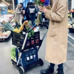 🔥Clearance Price $3.19🔥 Multipurpose Folding Cart 😍